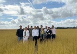 Discovery day with the Alliance for European Flax-Linen & Hemp