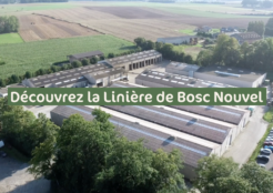 Dive into the heart of the Linière de Bosc Nouvel