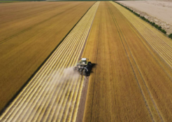 2026 flax pulling: a key stage now complete