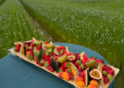 Introducing brands to the flax industry